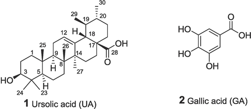 The structures of ursolic acid and gallic acid.