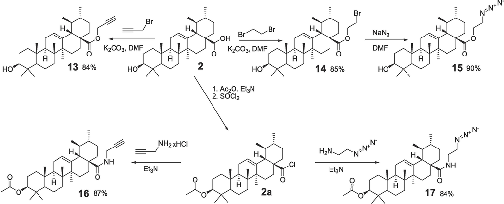 Syntesis of propargyl and azide derivatives of ursolic acid.