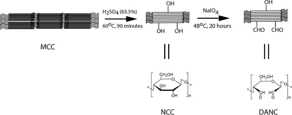 Synthesis scheme and structures of DANC from MCC via NCC.