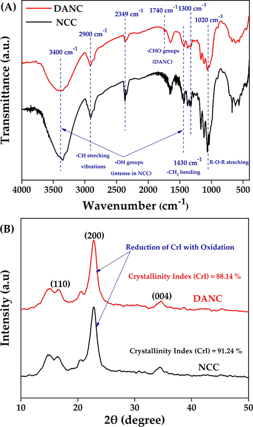 FT-IR spectra (with characteristic peaks) (A), and XRD analysis (with characteristic plane) (B) of NCC and DANC.