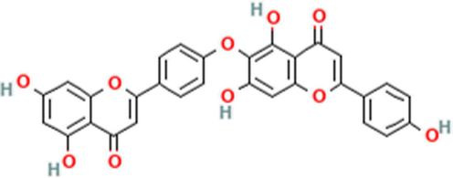 Schematic structure of hinokiflavone (HNK) as a biflavonoid.