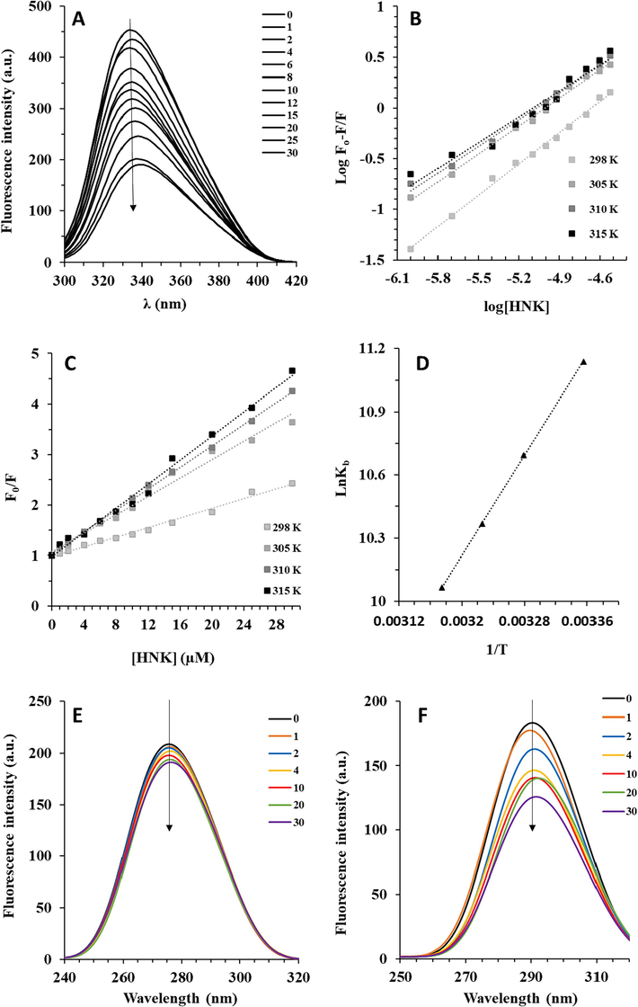 (A) The interaction of γ-globulin with consecutive addition of HNK measured by fluorescence quenching study at 298 K. (B) The modified Stern-Volmer plots of γ-globulin-HNK system at four different temperatures. (C) The Stern-Volmer plots of γ-globulin-HNK system at four different temperatures. (D) The van’t Hoff plots of γ-globulin-HNK system at four different temperatures. SFS measurement of γ-globulin-HNK system at (E) Δλ = 60 nm and (F) Δλ = 15 nm.