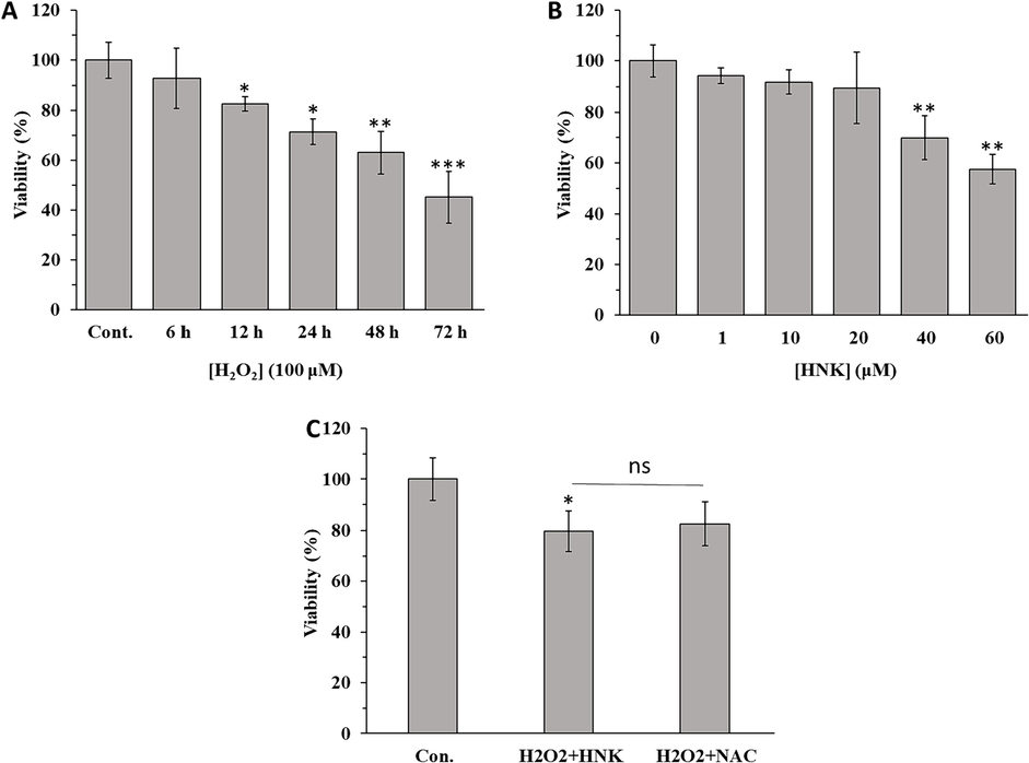 (A) Effect of H2O2 on the viability of MC3T3-E1 cells at different time intervals. (B) Effect of HNK on viability of MC3T3-E1 cells at different concentrations after 72 h. (C) Effect of H2O2 (100 µM) + HK (20 µM) and H2O2 (100 µM) + NAC (1 mM) on viability of MC3T3-E1 cells after 72 h. The data were determined by MTT assay (SD, n = 3). *p < 0 0.05, **p < 0 0.01, ***p < 0 0.001, relative to control group.