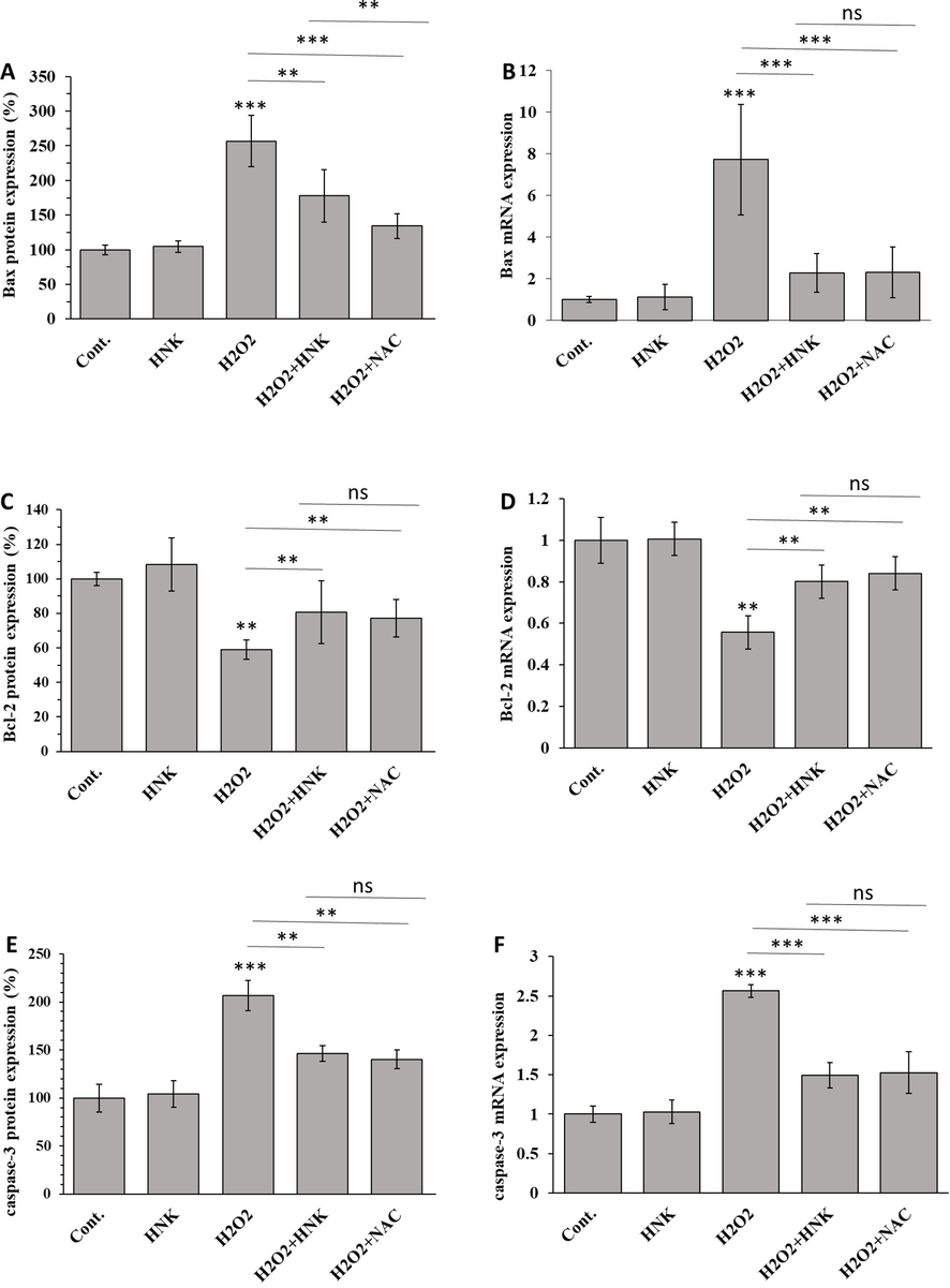 Effect of HNK (20 µM), H2O2 (100 µM), H2O2 (100 µM) + HK (20 µM) and H2O2 (100 µM) + NAC (1 mM) on (A) Bax protein expression, (B) Bax mRNA expression, (C) Bcl-2 protein expression, (D) Bcl-2 mRNA expression, (E) caspase-3 protein expression, and (F) caspase-3 mRNA expression of MC3T3-E1 cells after 72 h. *p < 0.05, **p < 0.01, ***p < 0.001, relative to control group.