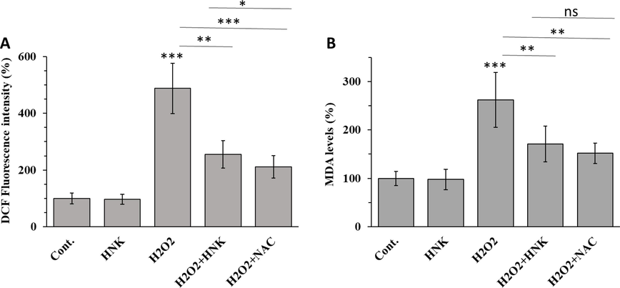 Effect of HNK (20 µM), H2O2 (100 µM), H2O2 (100 µM) + HK (20 µM) and H2O2 (100 µM) + NAC (1 mM) on (A) ROS production and (B) lipid peroxidation of MC3T3-E1 cells after 72 h. *p < 0.05, **p < 0.01, ***p < 0.001, relative to control group.