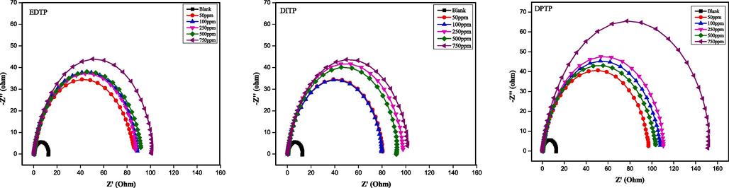 Nyquist plot for the corrosion inhibition of mild steel in 1.0 M HCl at 298 K without and with various concentrations of EDTP, DITP and DPTP.