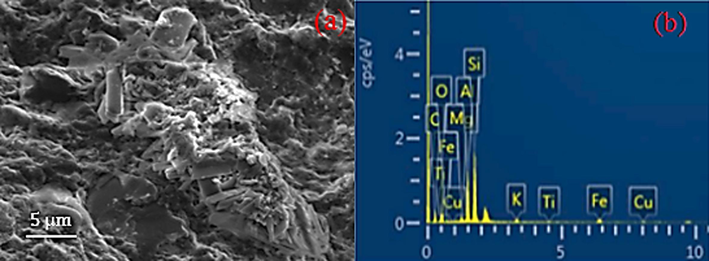 Shale sample before testing (a) SEM image and (b) EDX data.