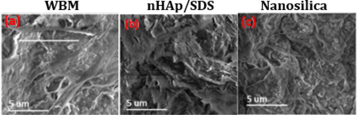 SEM images of shale specimens in contact with: (a) base mud, (b) 2.0 wt% nHAp/SDS, and (c) 2.0 wt% nanosilica after LSM test at ambient temperature (25 °C).