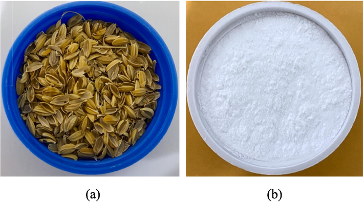 The optical photographs of (a) RH and (b) RH-SBA-15.