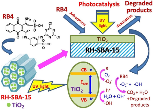 Schematic diagram of adsorption and photocatalytic mechanism of RH-TS composites in the RB4 dye solution.