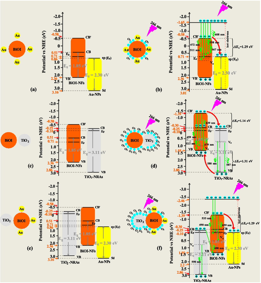 (a)-(f) Diagrammatic sketchs of (a, c, e) CB, VB, and EF potential positions (vs. NHE) for individual TiO2-NRAs, BiOI-NFs, and Au-NPs before contact; (b, d, f) are band-gap structure, charge carriers photoexcited and transient charge transfer behaviors for BiOI-NFs/Au-NPs, TiO2-NRAs/BiOI-NFs, and TiO2-NRAs/BiOI-NFs/Au-NPs nanohybrids after irradiated by UVC light, respectively.