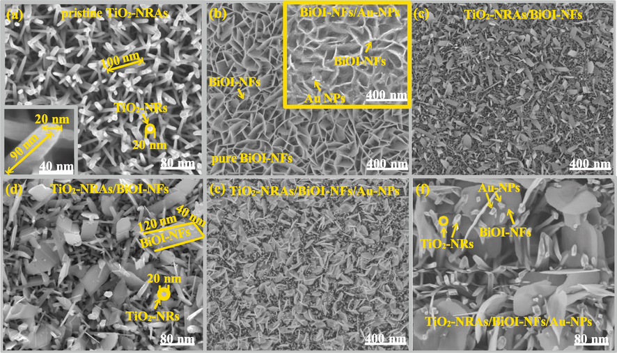 Scanning electron microscope (SEM) of (a) top-view of pristine TiO2 nanorods arrays (TiO2-NRAs), and the inset is cross-sectional of SEM picture for single TiO2 nanorod; (b) top-view of pure BiOI nanoflakes (BiOI-NFs) films, and the inset is morphological characterization of BiOI-NFs/Au-NPs nanocomplex; (c) top-view for as-formed binary TiO2-NRAs/BiOI-NFs nanocomposites; (d) high-resolution SEM picture of TiO2-NRAs/BiOI-NFs binary nanocomposites; (e) vertical-view SEM picture of as-fabricated ternary TiO2-NRAs/BiOI-NFs/Au-NPs nanohybrids; (f) high-resolution SEM picture of TiO2-NRAs/BiOI-NFs/Au-NPs ternary nanohybrids