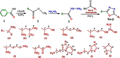 Synthesis of different 2,5-disubstituted-1,3,4-oxadiazole derivatives.