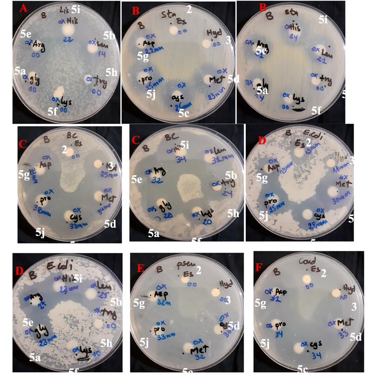 (A-E): antibacterial and antifungal activities of synthesized compounds against tested microorganisms, (A) L. innocua ATCC 33090, (B) S. aureus ATCC 25923, (C) B. cereus ATCC 14579, (D) E. coli ATCC 25922, (E) P. aeruginosa ATCC 27853 and (F) C. albicans ATCC 10231 at 10 mg/ml.