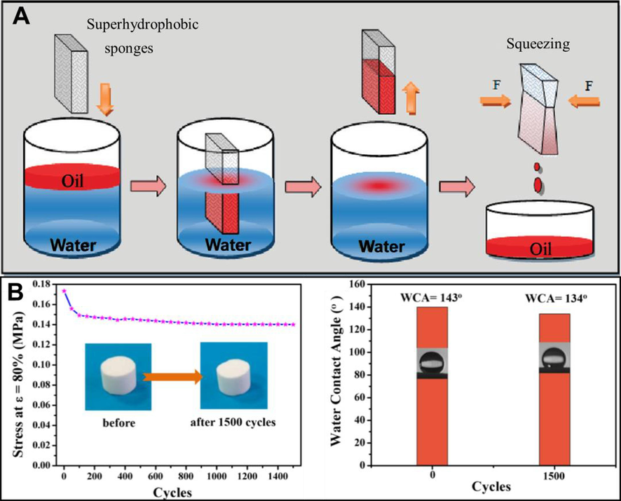 (A) Schematic illustration of recycling superoleophilic sponge during oil–water separation by simple mechanical extrusion process. (B) Compressive stress of TPU sponge after 1500 cycles and its WCA before and after compression. Adapted and modified from Zhu et al. (2011) and Qin et al. (2019).