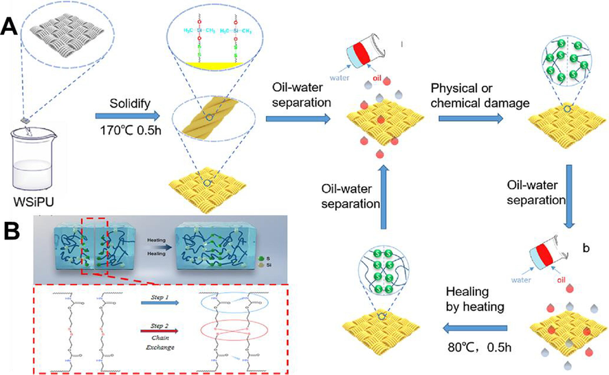 (A) Schematic diagram of the self-healable coating using Waterborne organic silicone polyurethane for oil-waterseparation. (B) The proposed mechanism of self-healing. Adapted and modified from Mao et al. (2023b).