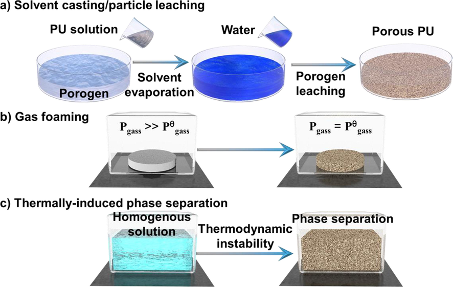 Schematic diagram of 3D PU foam preparation methods.