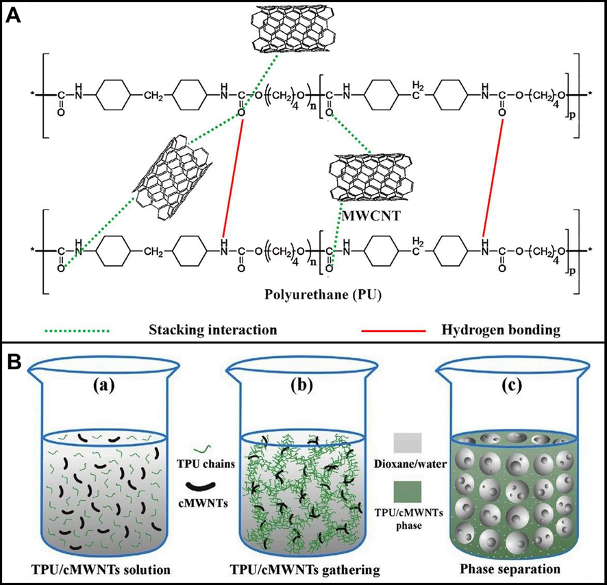 (A) The interaction between multi-walled carbon nanotube (MWCNT) and PU through hydrogen bond and π–π interaction. (B) Schematic diagram of the preparation procedure of superhydrophobic TPU/cMWNTs. Adapted and modified from Juraij et al. (2022) and Ye et al. (2020).