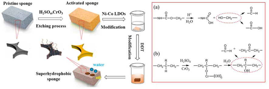 Schematic diagram of synthesis process of superhydrophobic PU sponge including etching process. Adapted and modified from Yang et al. (2023).