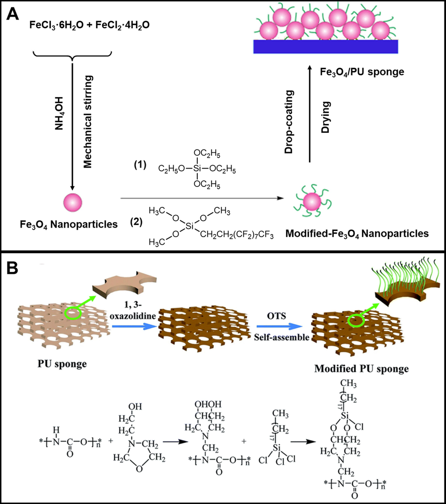 (A) Schematic diagram of the preparation of superhydrophobic Fe3O4/PU sponge. (B) Schematic diagram of the modification process of PU using octadecyltrichlorosilane (OTS). Adapted and modified from Li et al. (2018) and Liang et al. (2019).