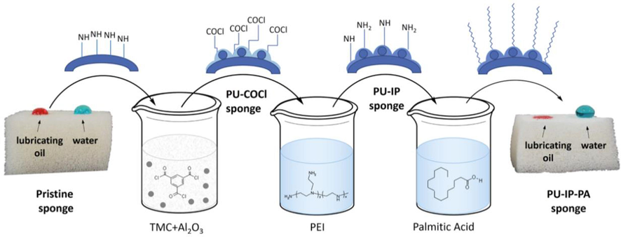 Schematic diagram of the fabrication process of PU-interfacial polymerization -palmitic acid (PU-IP-PA) sponge. Adapted and modified from Zhang et al. (2016).