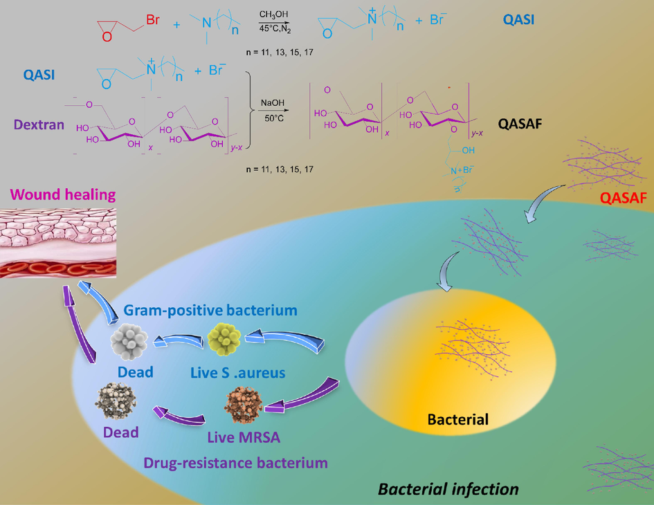 Synthesis of antimicrobial fibers and in vitro and in vivo mechanisms.