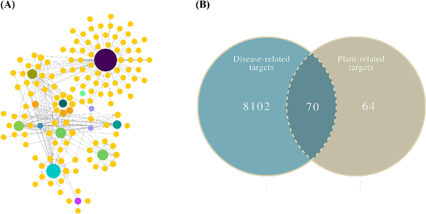 (A) Compound-target network, (B) A Venn diagram drawn between compound and disease-related targets to find common target genes.