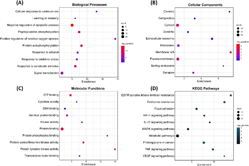 GO functional enrichment and KEGG pathways analysis, (A) Biological processes, (B) Cellular components, (C) Molecular functions, and (D) KEGG pathways.