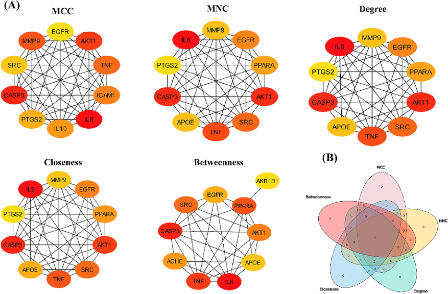 (A) Calculation of hub genes by MCC, MNC, Degree, Closeness, and Betweenness scoring algorithms of CytoHubba, (B) Venn diagram showing the common genes of 5 different scoring algorithms.