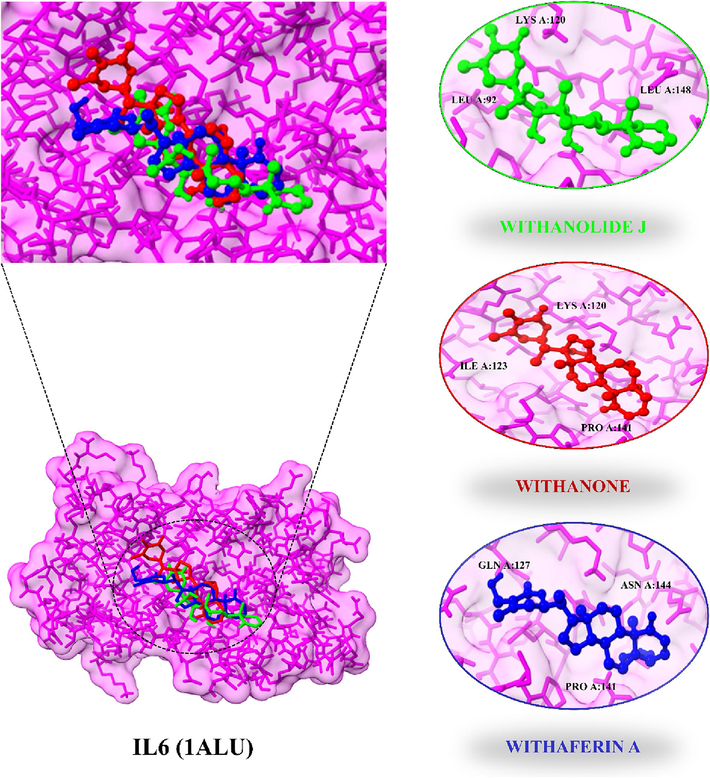 IL6 docking complexes with their three highest binding affinity compounds.