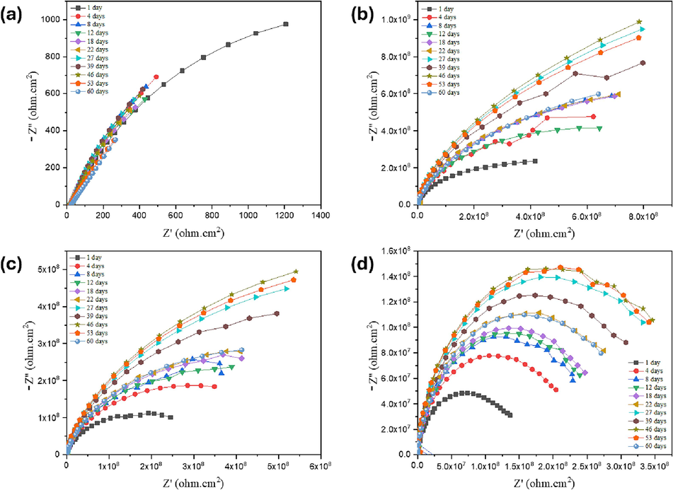 Nyquist Plots from long-term measurements for (a) Bare steel sample (b) Neat PVDF coated (c) MLDH@PVDF coated and (d) ZLDH@PVDF coated steel samples in 3.5% NaCl solutions.