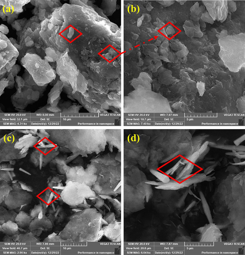 SEM images of (a, b) MLDH, and (c, d) ZLDH at different magnifications.