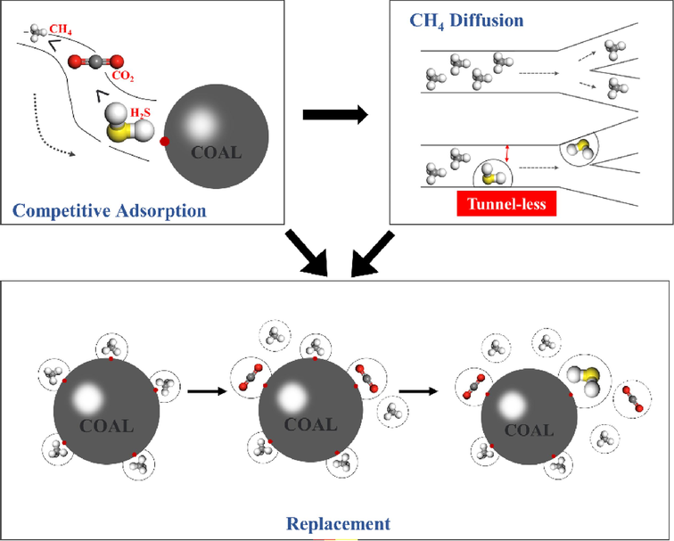 Schematic diagram of the effect of H2S on CH4 adsorption, diffusion and displacement.