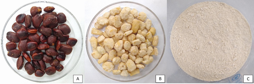 Steps for obtaining flour from tamarind seeds (Tamarindus indica L.): (A) seeds; (B) peeled seeds; (C) flour in fine granules.