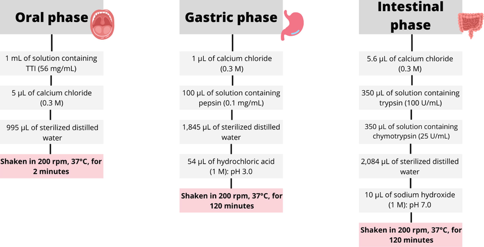 Flowchart of the in vitro hydrolysis steps of trypsin inhibitor from tamarind seeds.