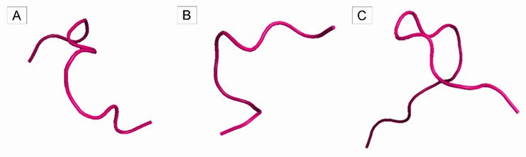 Three-dimensional structure of peptides obtained employing theoretical cleavage of TTIp 56/287 with combined enzymes chymotrypsin and trypsin. (A) Peptidetrypchymo12: peptide 1 cleaved by trypsin and chymotrypsin; (B) Peptidetrypchymo43: peptide 2 cleaved by trypsin and chymotrypsin; (C) Peptidetrypchymo59: peptide 3 cleaved by trypsin and chymotrypsin.