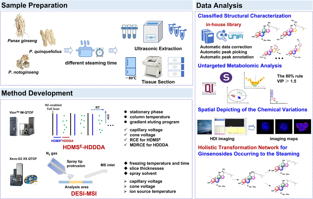 The overall technical roadmap of the ion-mobility high-resolution LC-MS-based untargeted metabolomics and DESI-MSI for depicting the steaming-induced ginsenosides variation simultaneously for three ginseng species (PG, PQ, and PN).