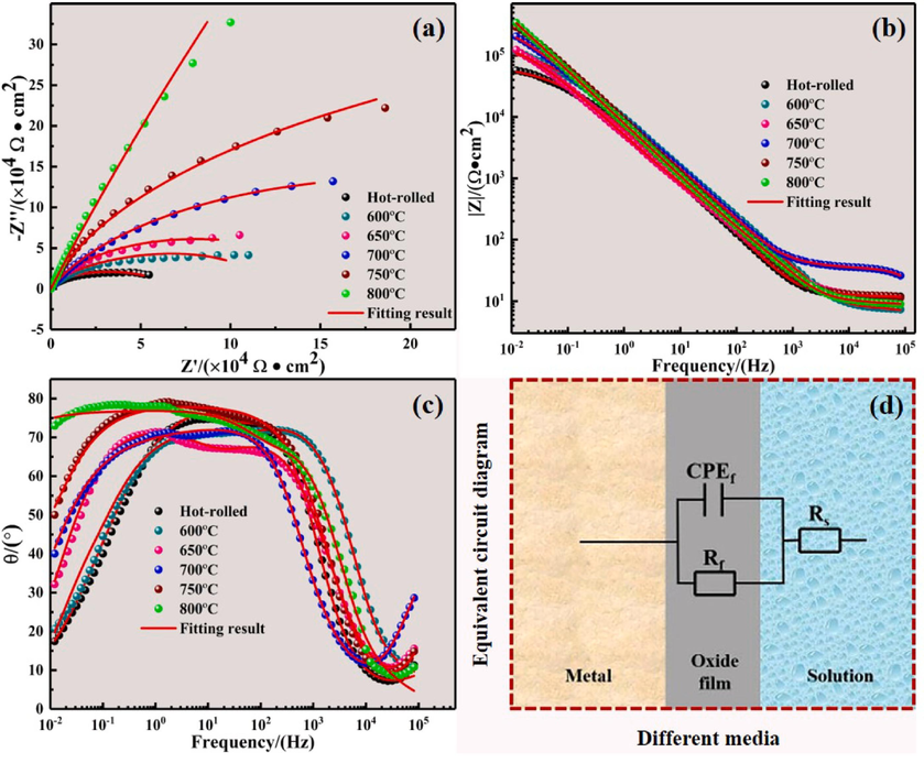 EIS measurements of annealed Ti552 alloy in 3.5 wt% NaCl solution: (a) Nyquist plots; (b) Bode-|Z| plots; (c) Bode-phase plots; (d) Equivalent circuit diagram.