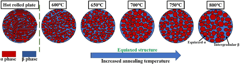 Microstructural evolution of the Ti552 alloy at different annealing temperatures.