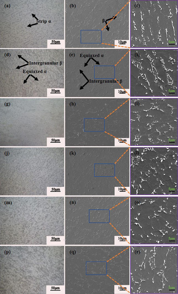 OM (a,d,g,j,m,p) and SEM (b,c,e,f,h,i,k,l,n,o,q,r) images of Ti552 alloy annealed at different temperatures, (a,b,c) Hot-rolled state,(d,e,f) 600 ℃, (g,h,i) 650 ℃, (j,k,l) 700 ℃, (m,n,o) 750 ℃, (p,q,r) 800 ℃. The (c,f,i,l,o,r) images are magnified views of specific regions in (b,e,h,k,n,q). formation of numerous enlarged equiaxed α-phases.