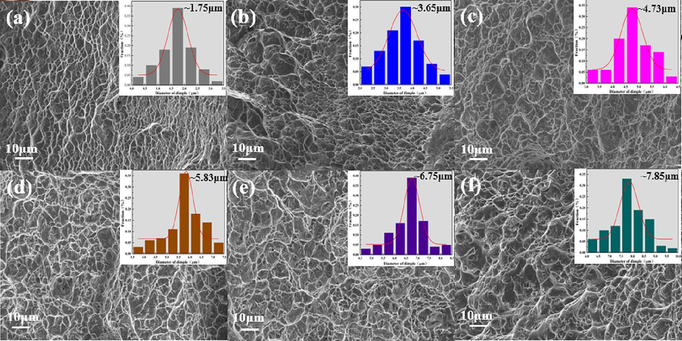 The SEM fracture morphologies of Ti552 alloy with different states: (a)hot-rolled, (b)600 ℃, (c)650 ℃, (d)700 ℃, (e)750 ℃, (f)800 ℃. All the illustrations describe the dimple size distribution obtained from SEM observations.