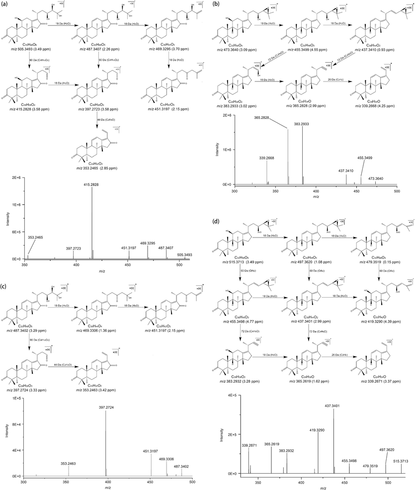 The fragmentation process of 16-oxo-alisol A (a), 16-oxo-11-anhydro-alisol A (b), Alisol B (c), and Alisol B 23-acetate (d).