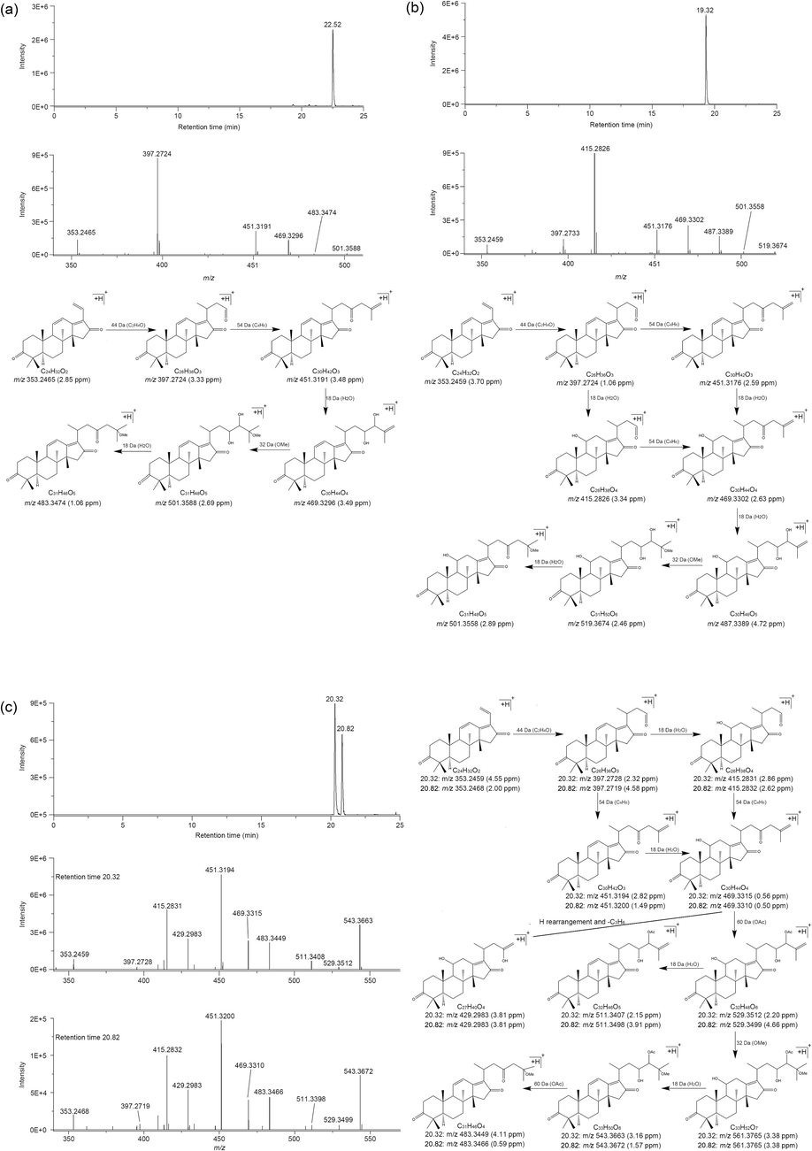 The EIC and fragmentation process of 25-methoxy-16-oxo-11-anhydroalisol A (a), 25-methoxy-16-oxo-alisol A (b), and 25-methoxy-16-oxo-alisol A 23 or 24-acetate (c).