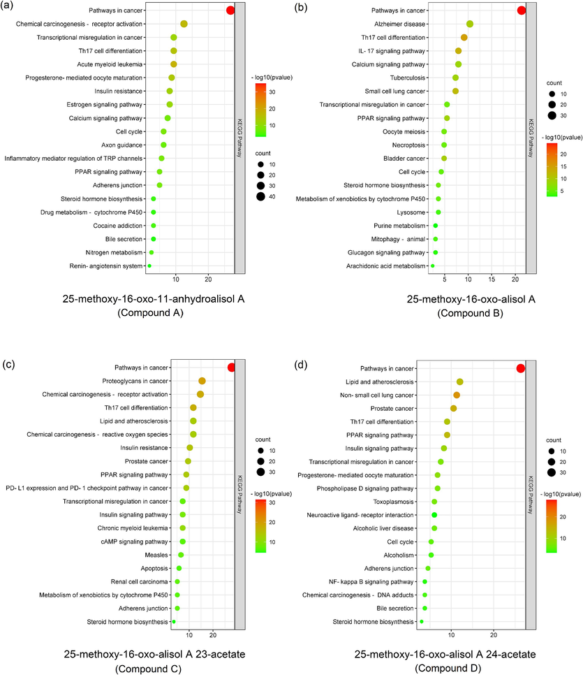 The KEGG analysis of targets from 25-methoxy-16-oxo-11-anhydroalisol A (a), 25-methoxy-16-oxo-alisol A (b), 25-methoxy-16-oxo-alisol A 23-acetate (c) and 25-methoxy-16-oxo-alisol A 24-acetate (d).