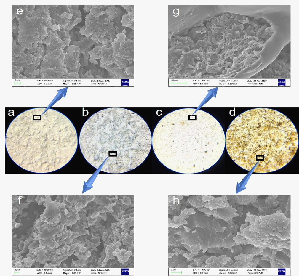 500X polarizing microscope and SEM images of GOEPC. a. Polarizing microscope view of EPC with 0% GO. b.Polarizing microscope view of GOEPC with 0.1 wt% GO. c. Polarizing microscope view of GOEPC with 0.2 wt% GO. d. Polarizing microscope view of GOEPC with 0.74 wt% GO. e. SEM image of EPC with 0%GO. f. SEM image of GOEPC with 0.1 wt% GO. g. SEM image of GOEPC with 0.2 wt% GO. h. SEM image of GOEPC with 0.74 wt% GO.