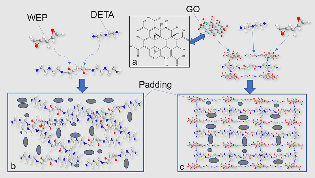 Mechanism diagram of GO&WEP and diethylenetriamine in-situ crosslinking reaction to construct anti-corrosion coating.