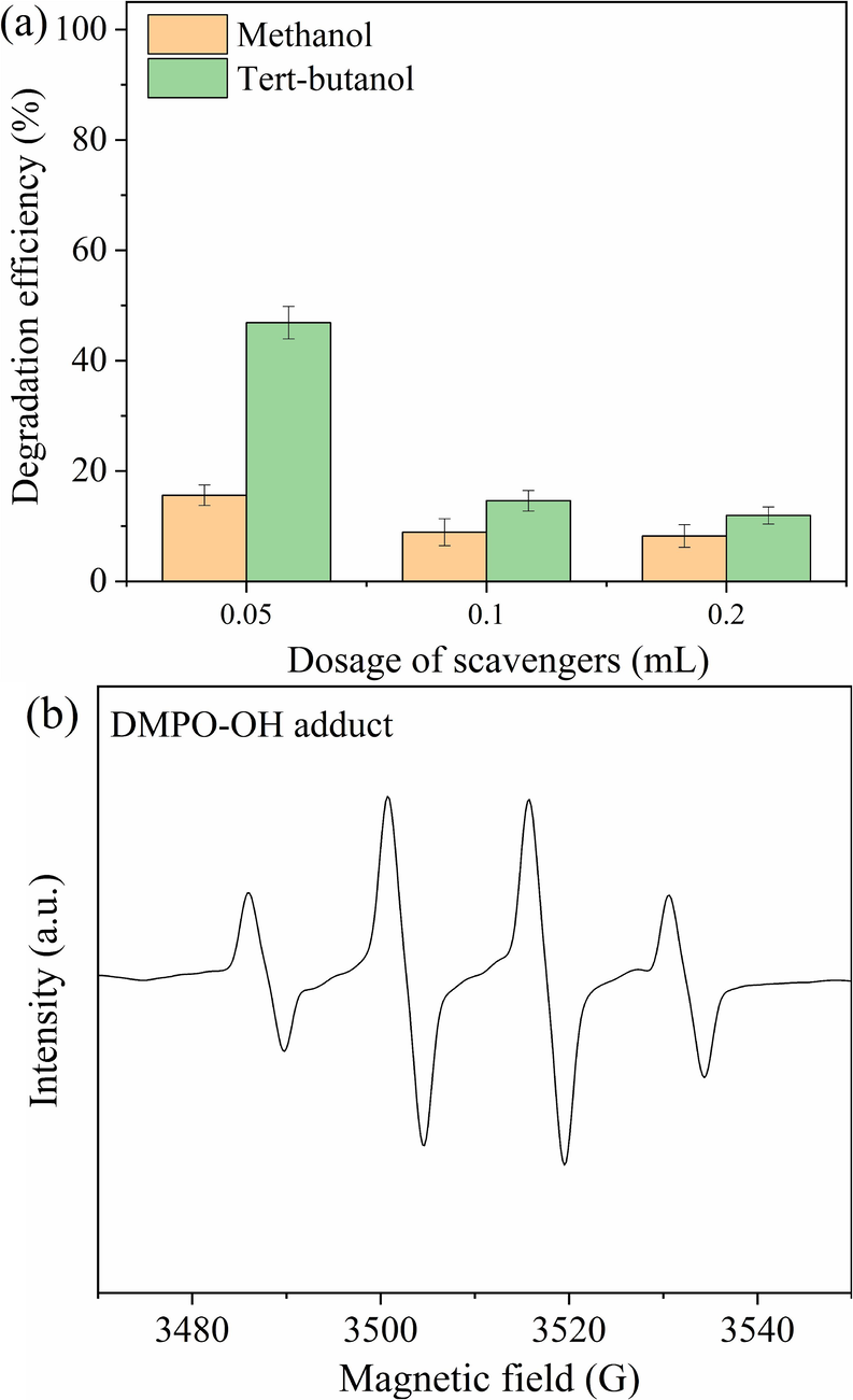 Influences of different scavengers (a) on the degradation of phenol and ESR experiment (b) in the FRM/2%A/H2O2 system.