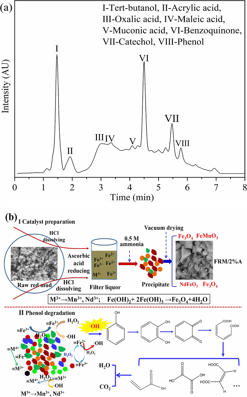 HPLC pattern of intermediates during phenol degradation (a); Schematic diagrams of the change of ferrous polymetallic oxides during FRM/2%A preparation and the mechanism of phenol degradation (b).