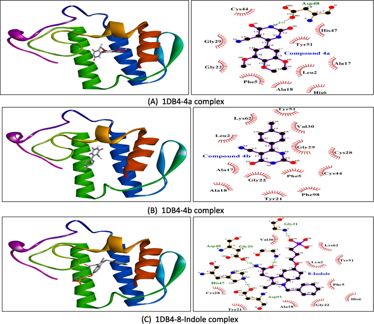 Molecular docking results showing 3D docked pose and two-dimensional binding interactions of phospholipase A2 (PDBID: 1DB4) with compound 4a (A), compound 4b (B), and 8-indole (C).