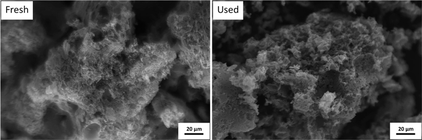 Scanning electron microscope (SEM) micrographs of fresh and used PdNi/NPC catalysts at 500x magnification.